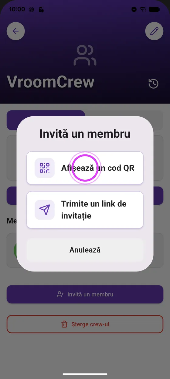 Codul QR