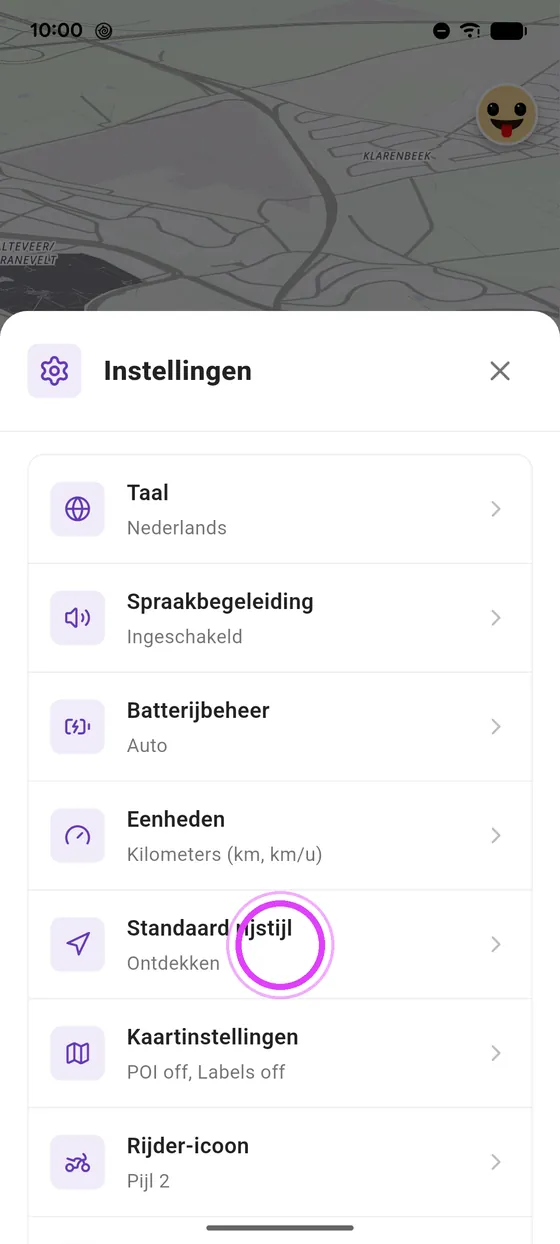 Rijstijl