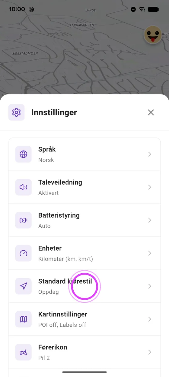 Kjørestil