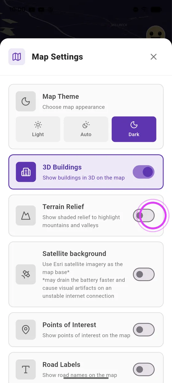 3D buildings and relief