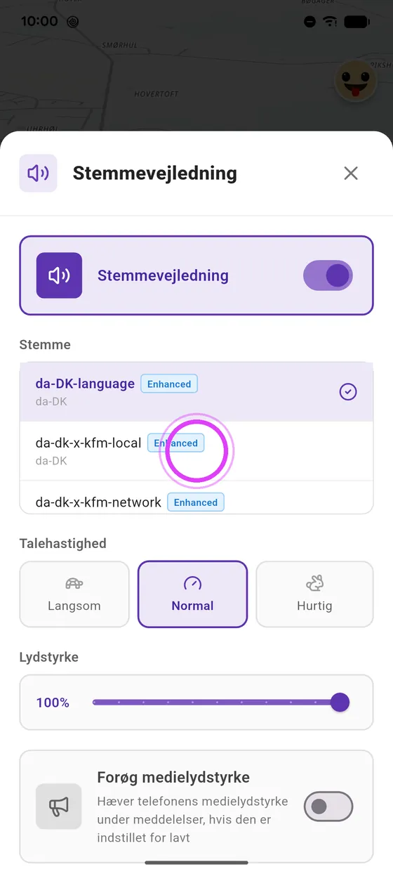 Vælg din stemme