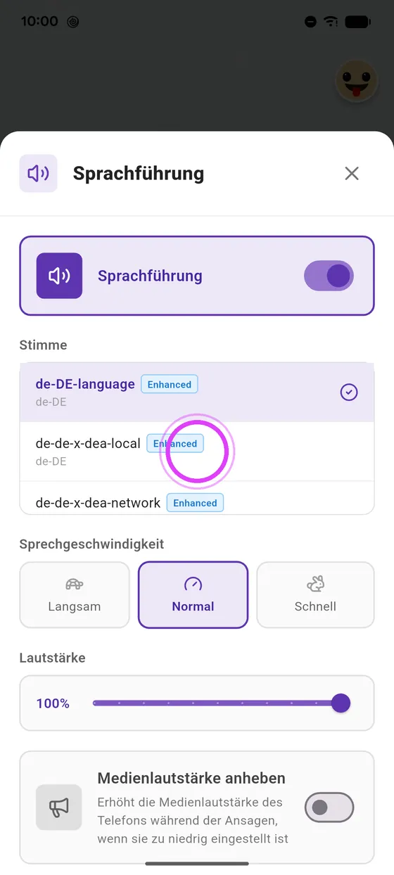 Stimme wählen