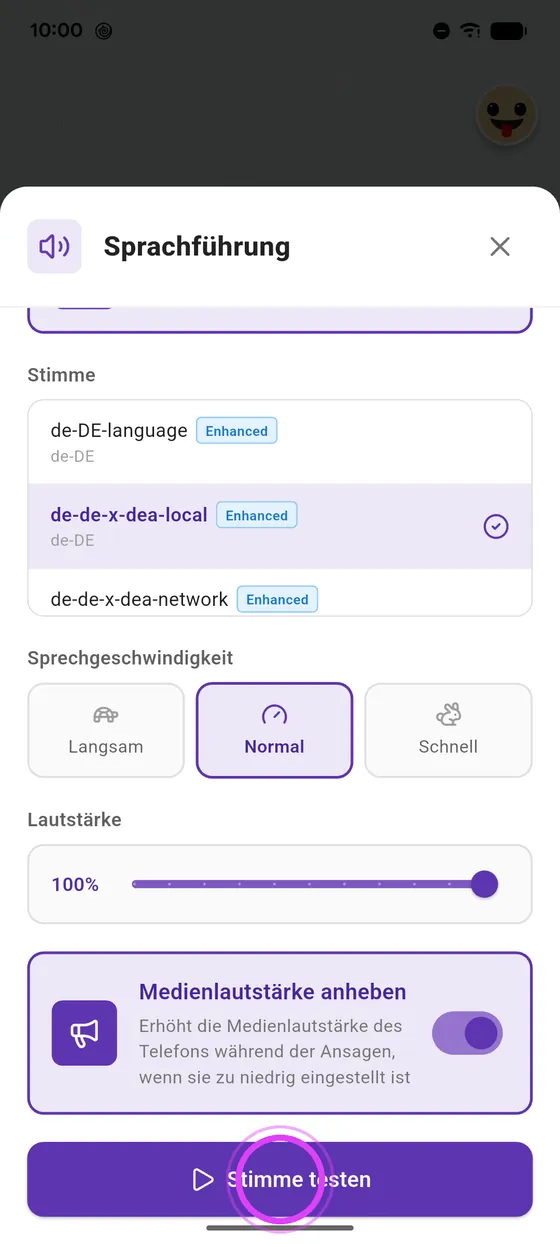 Stimme testen