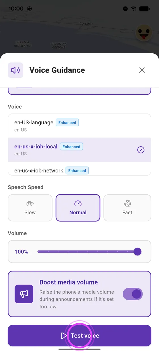 Test the voice