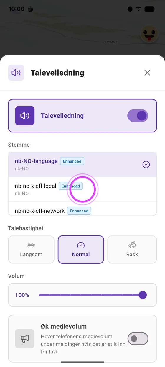Velg stemmen din