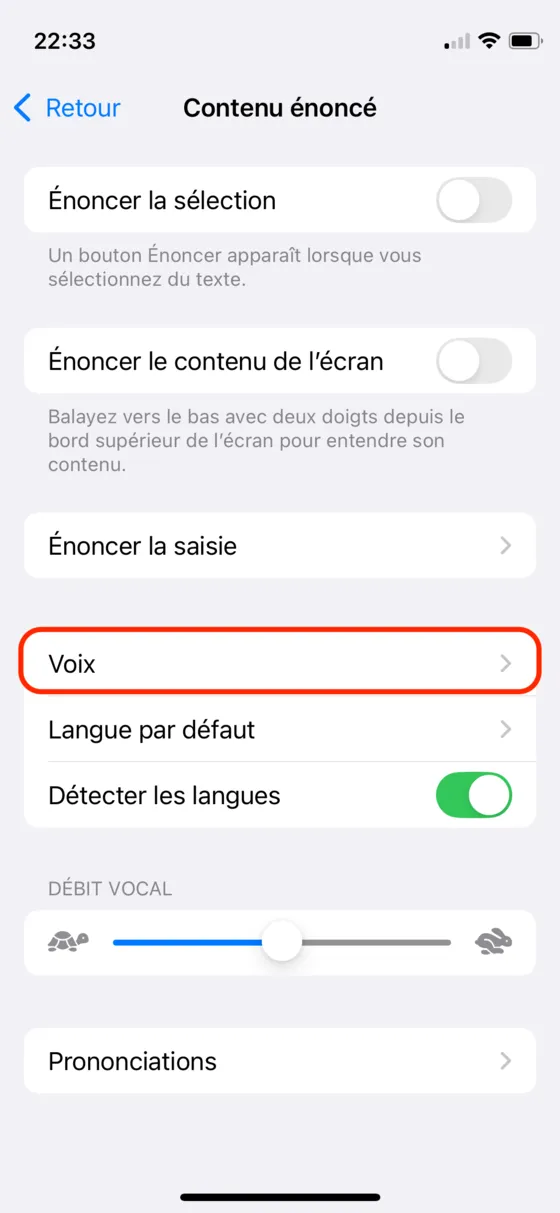 Contenu énoncé, menu Voix