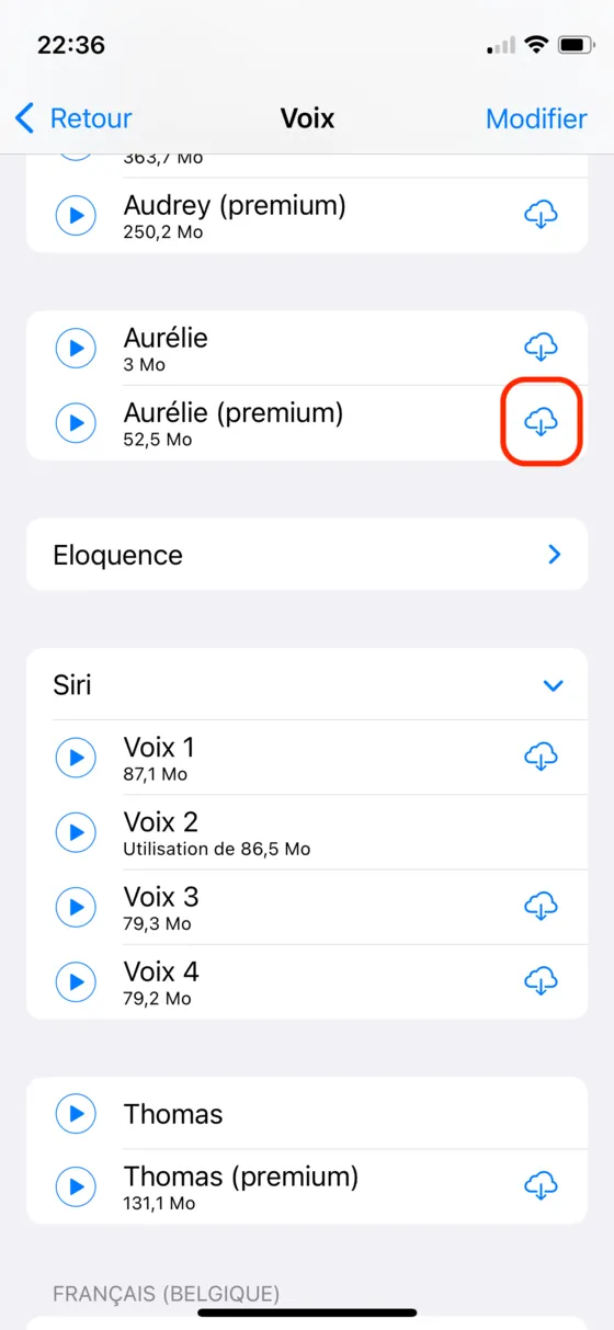 Téléchargement d'une voix Premium dans les réglages iOS